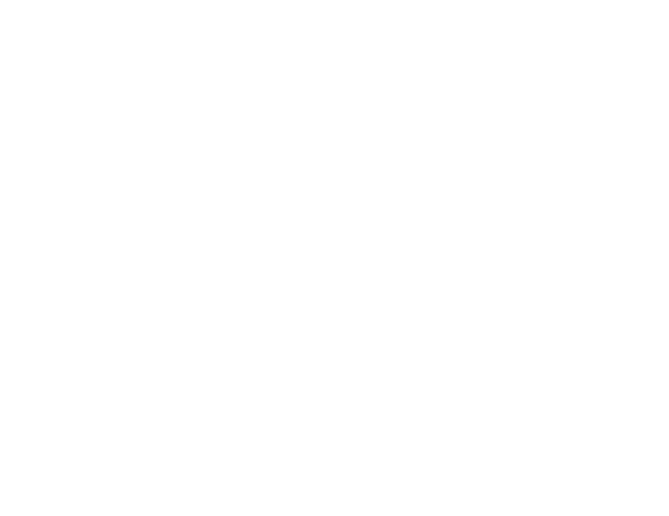 NO CAR , NO LIFE